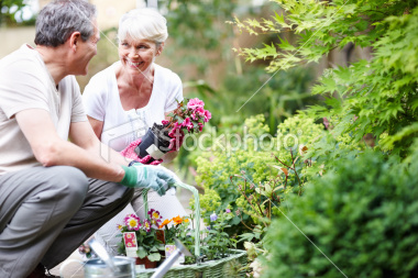 Healthy sexuality counseling for couples